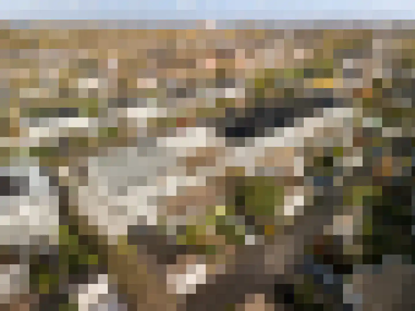 Contrabaserf 10 Amersfoort thumbnail 39