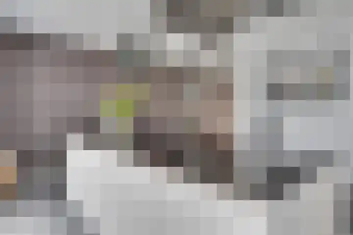 Contrabasstraat 13 Eindhoven thumbnail 13