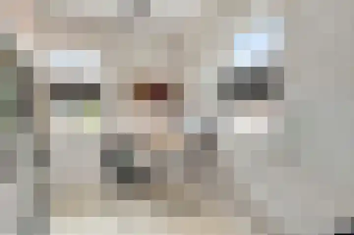 Contrabasstraat 13 Eindhoven thumbnail 18
