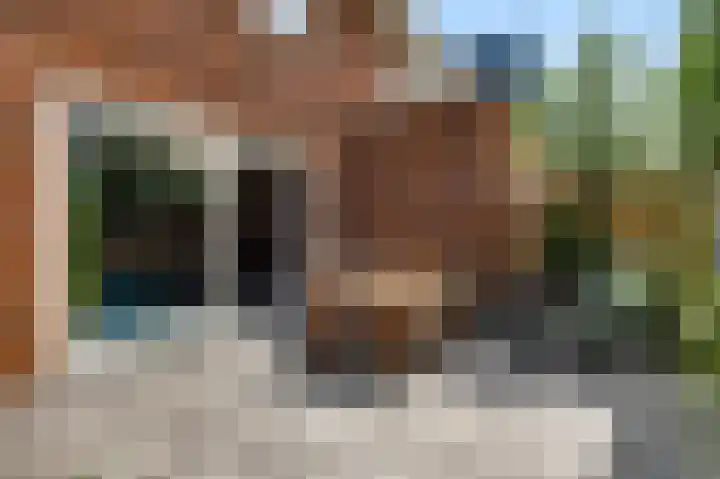 Contrabasstraat 13 Eindhoven thumbnail 24