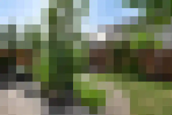 Contrabasstraat 13 Eindhoven thumbnail 25