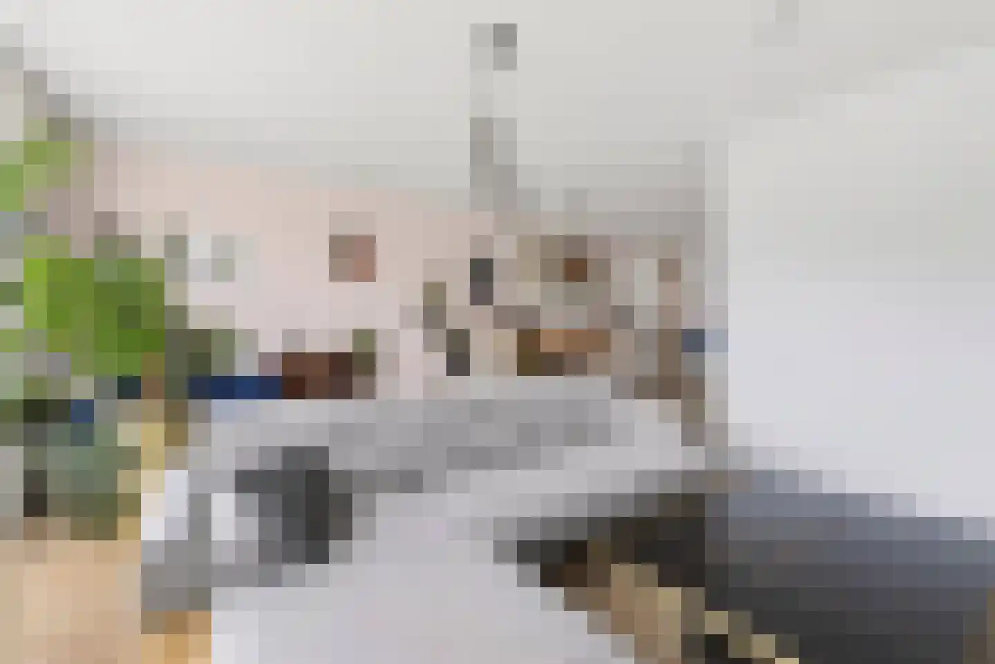 Contrabasstraat 21 Eindhoven thumbnail 12