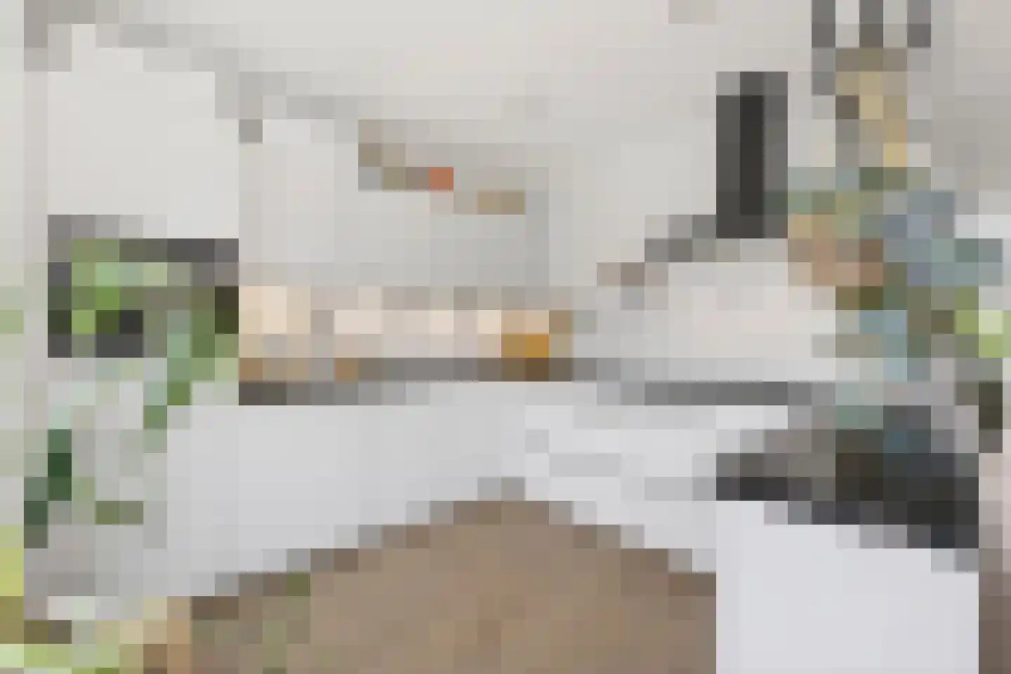 Contrabasstraat 21 Eindhoven thumbnail 17