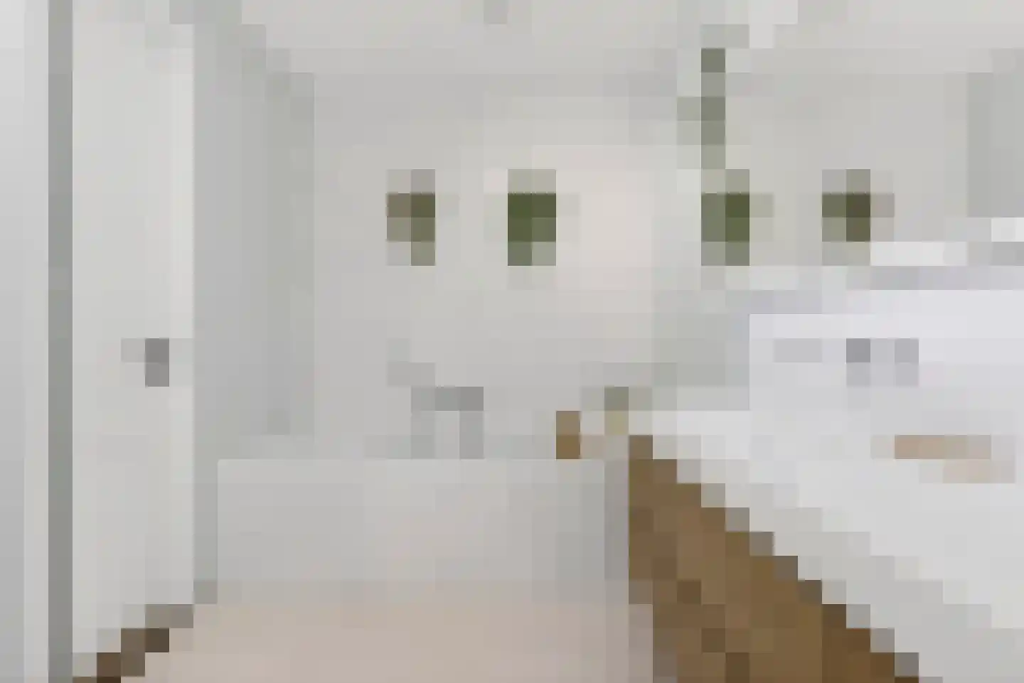 Contrabasstraat 21 Eindhoven thumbnail 35