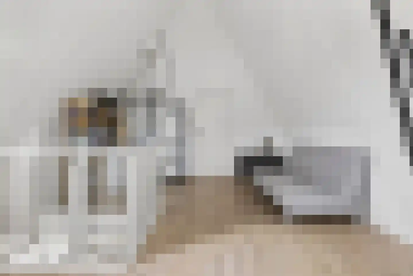 Contrabasstraat 21 Eindhoven thumbnail 37