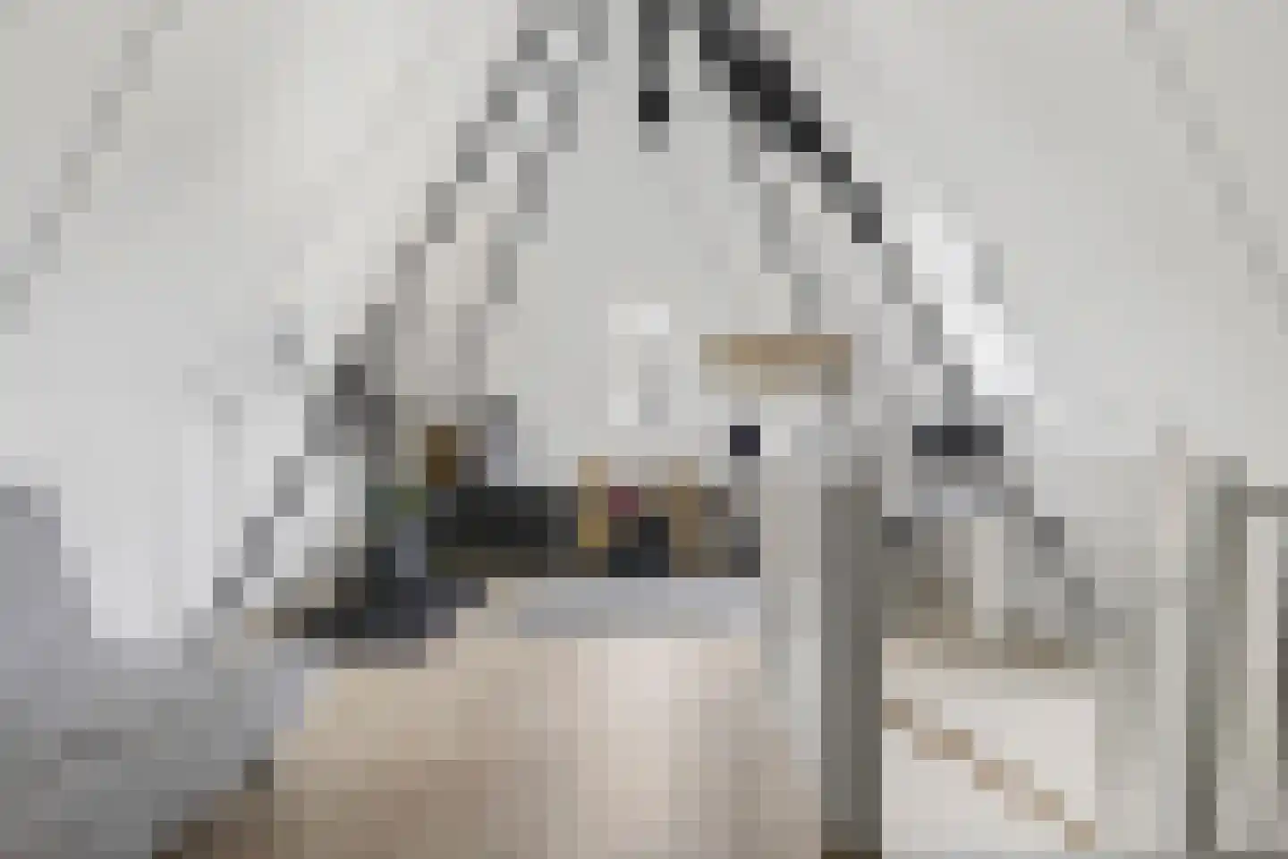 Contrabasstraat 21 Eindhoven thumbnail 38