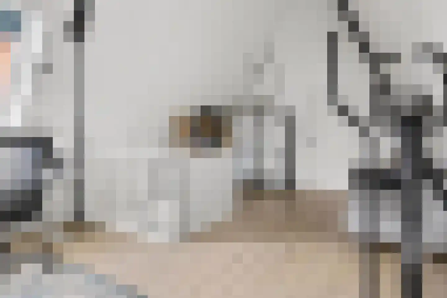 Contrabasstraat 21 Eindhoven thumbnail 39
