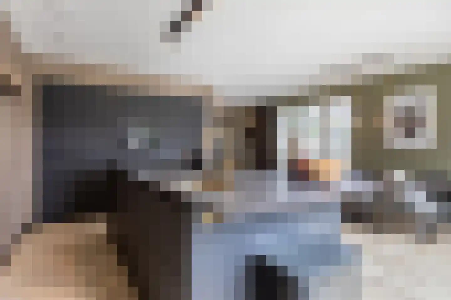 Contrabasstraat 28 Eindhoven thumbnail 16