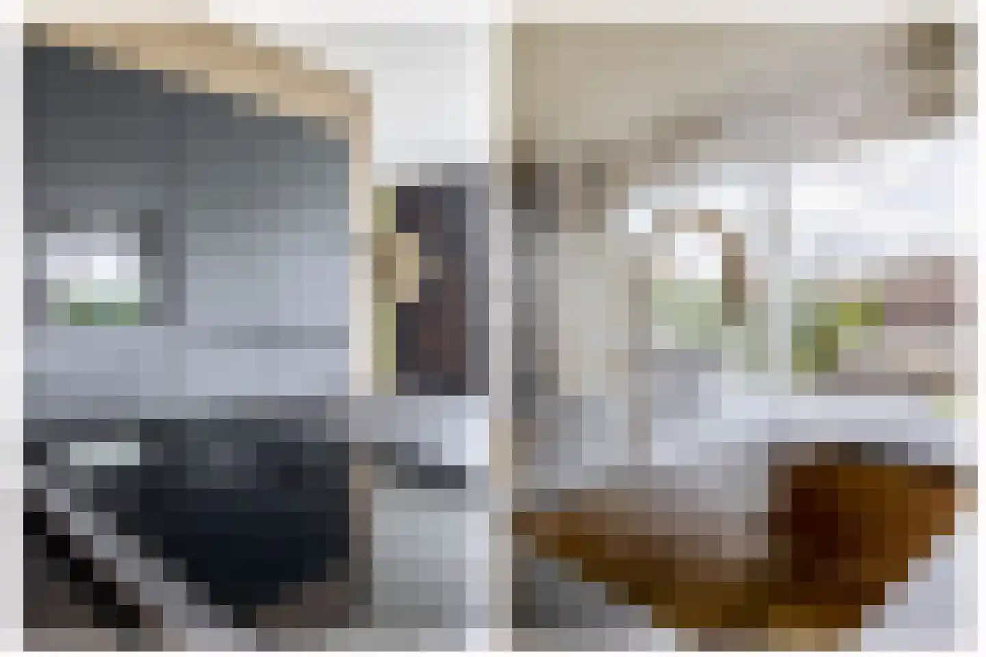 Contrabasstraat 28 Eindhoven thumbnail 20