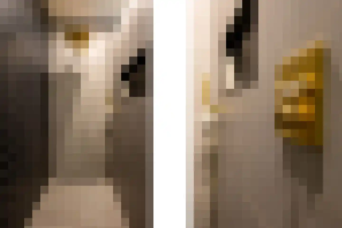 Contrabasstraat 28 Eindhoven thumbnail 28