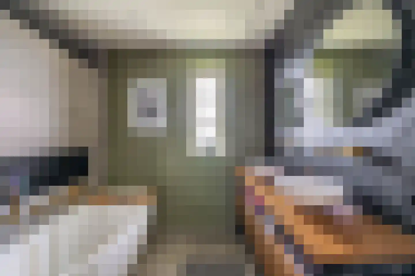 Contrabasstraat 28 Eindhoven thumbnail 31
