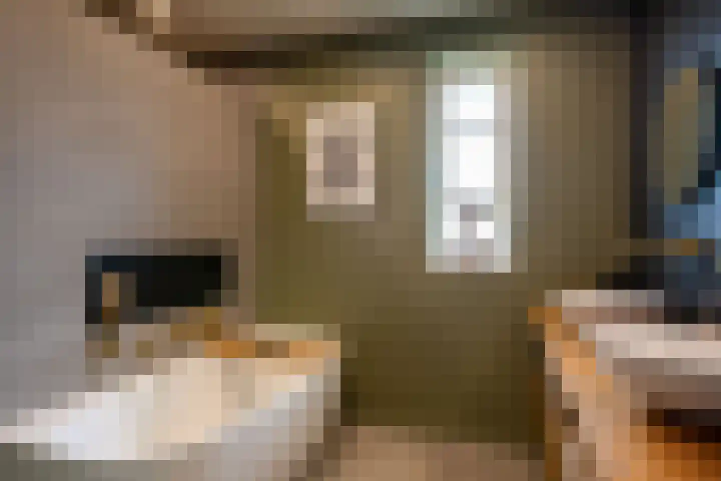 Contrabasstraat 28 Eindhoven thumbnail 31
