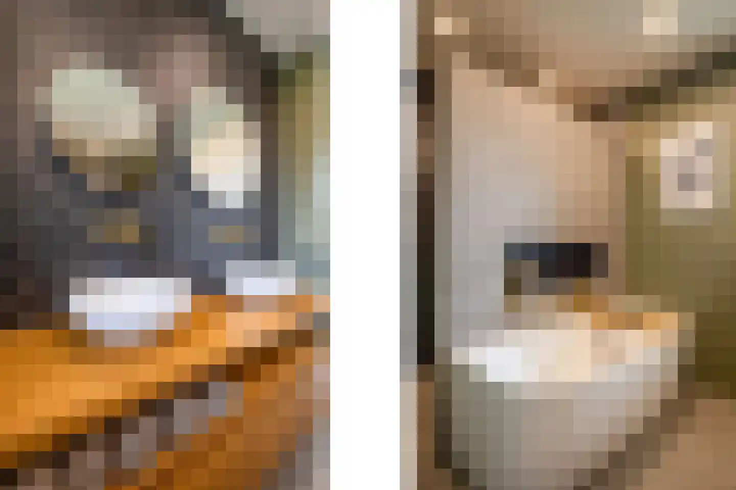 Contrabasstraat 28 Eindhoven thumbnail 32