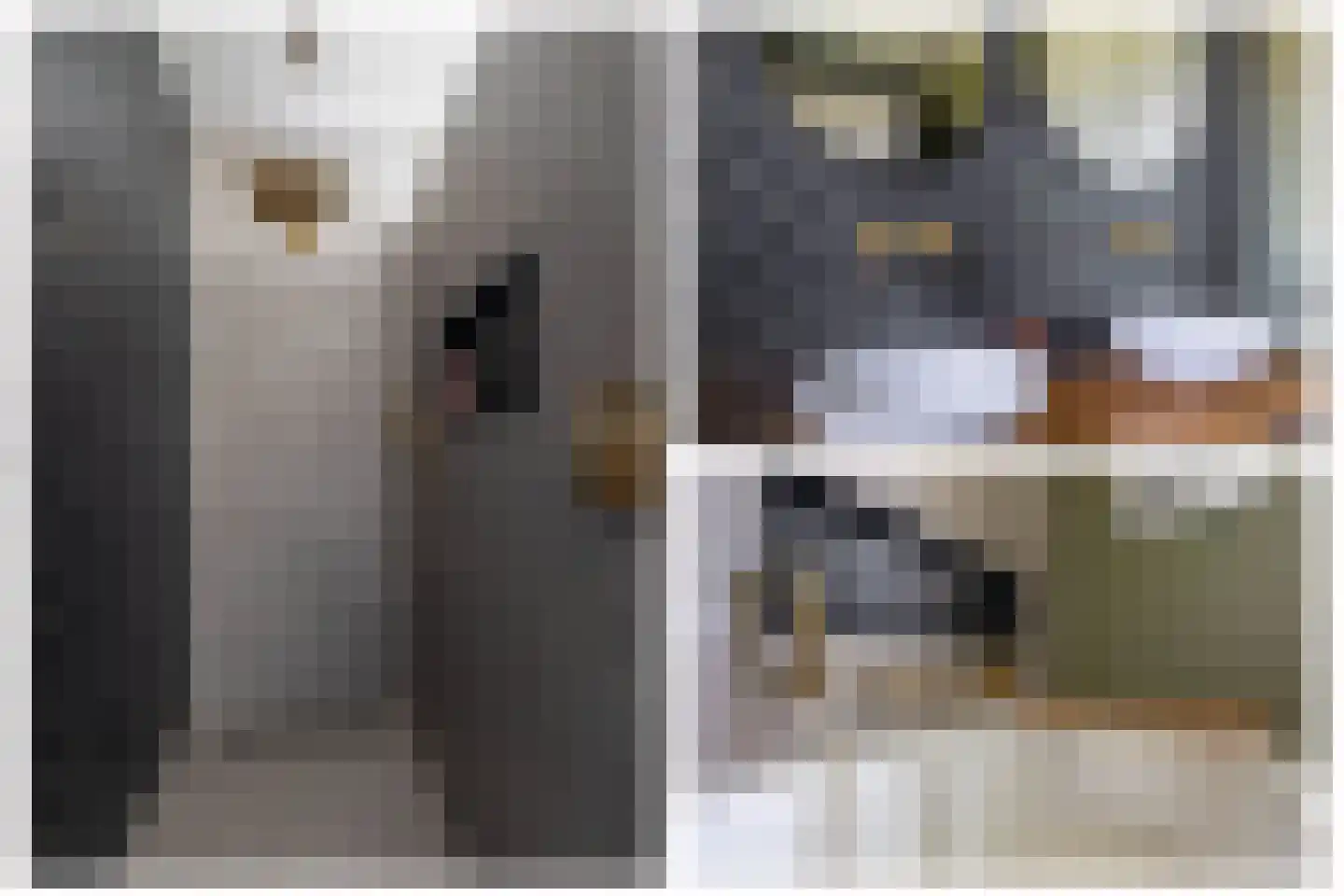 Contrabasstraat 28 Eindhoven thumbnail 32