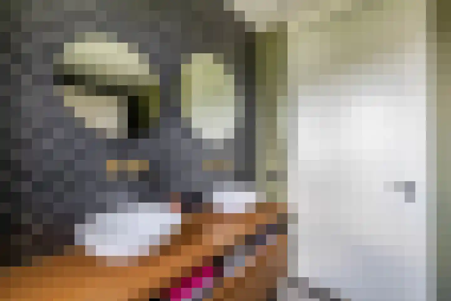 Contrabasstraat 28 Eindhoven thumbnail 33