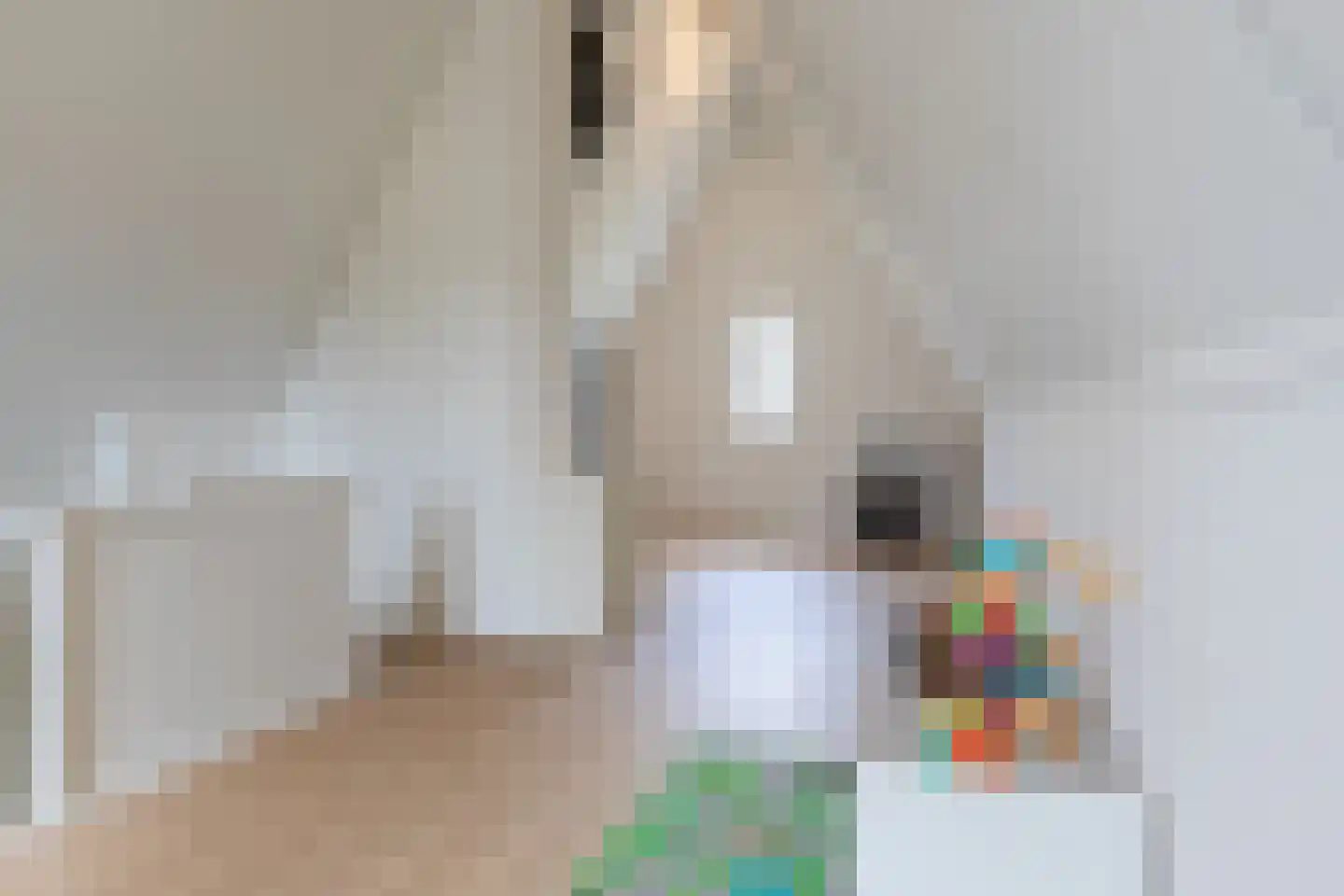 Contrabasstraat 28 Eindhoven thumbnail 35