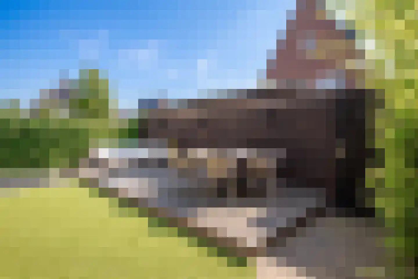 Contrabasstraat 28 Eindhoven thumbnail 38