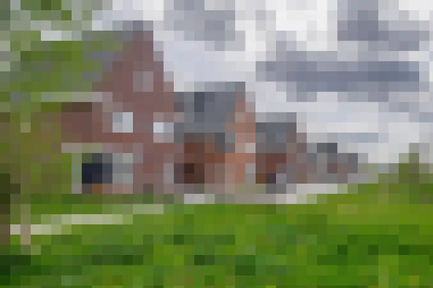 Contrabasstraat 28 Eindhoven thumbnail 51