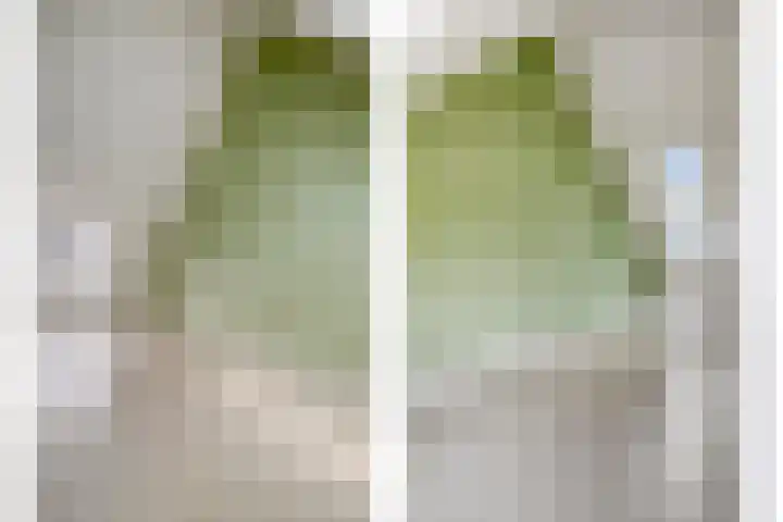 Contrabasstraat 3 Eindhoven thumbnail 31