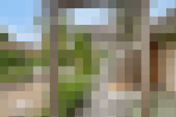 Contrabasstraat 3 Eindhoven thumbnail 34