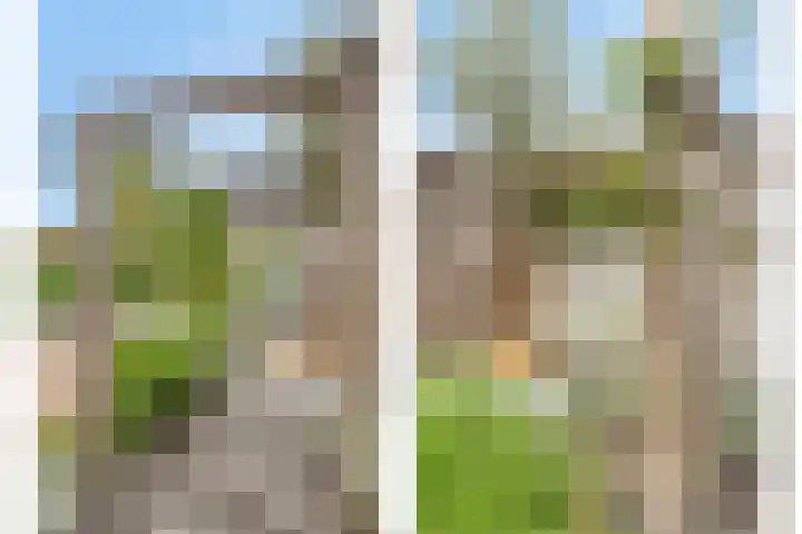 Contrabasstraat 3 Eindhoven thumbnail 35