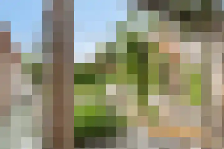 Contrabasstraat 3 Eindhoven thumbnail 36