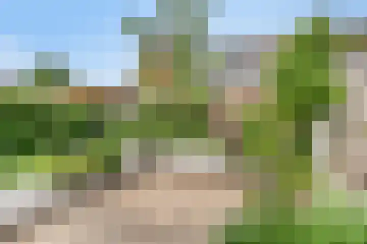 Contrabasstraat 3 Eindhoven thumbnail 38