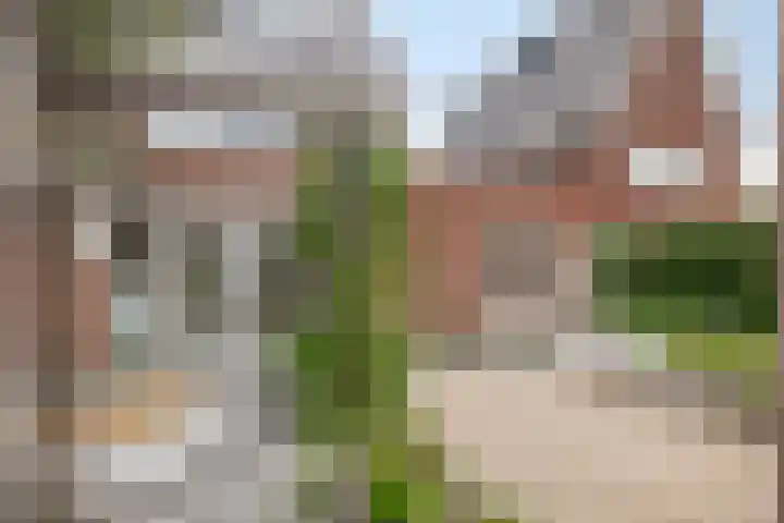 Contrabasstraat 3 Eindhoven thumbnail 39
