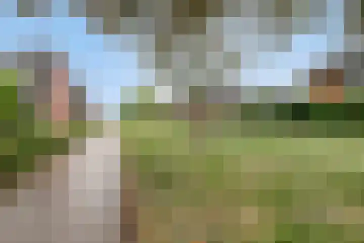 Contrabasstraat 3 Eindhoven thumbnail 42