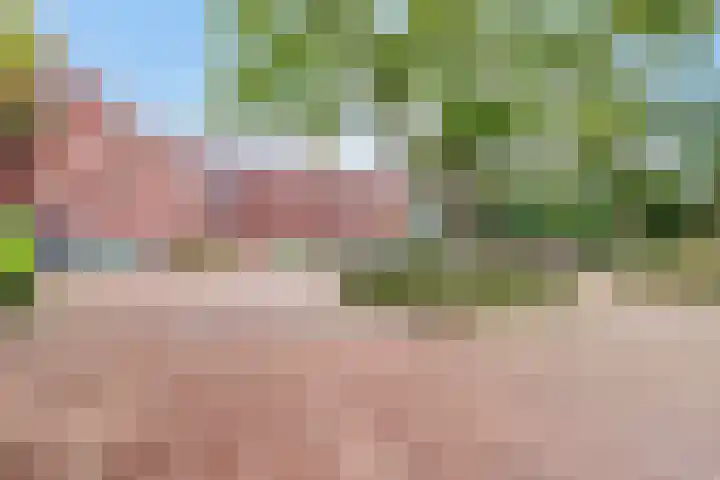 Contrabasstraat 3 Eindhoven thumbnail 43
