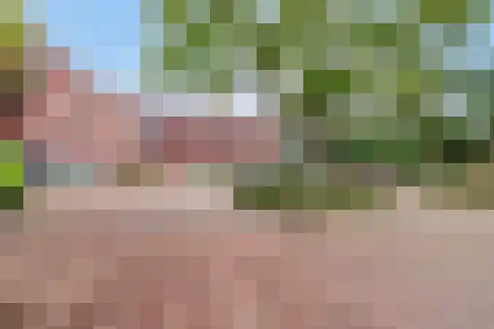 Contrabasstraat 3 Eindhoven thumbnail 44