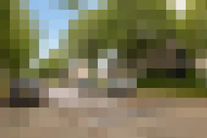 Contrabasweg 114 Almere thumbnail 6