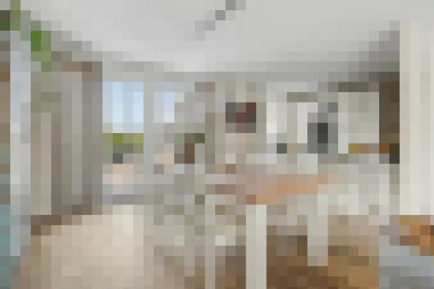 Contrabasweg 35 Goes thumbnail 11