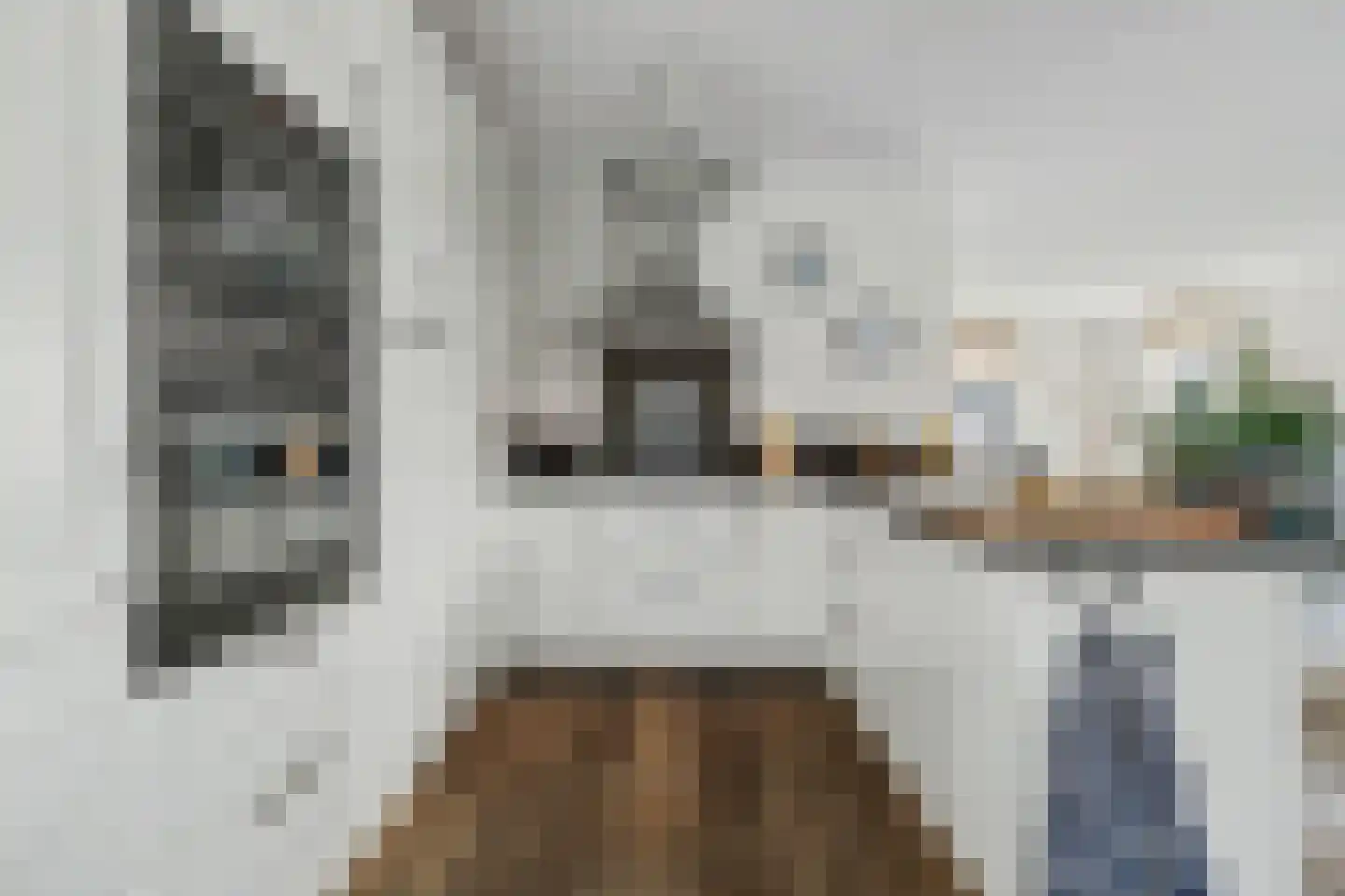 Contrabasweg 35 Goes thumbnail 15