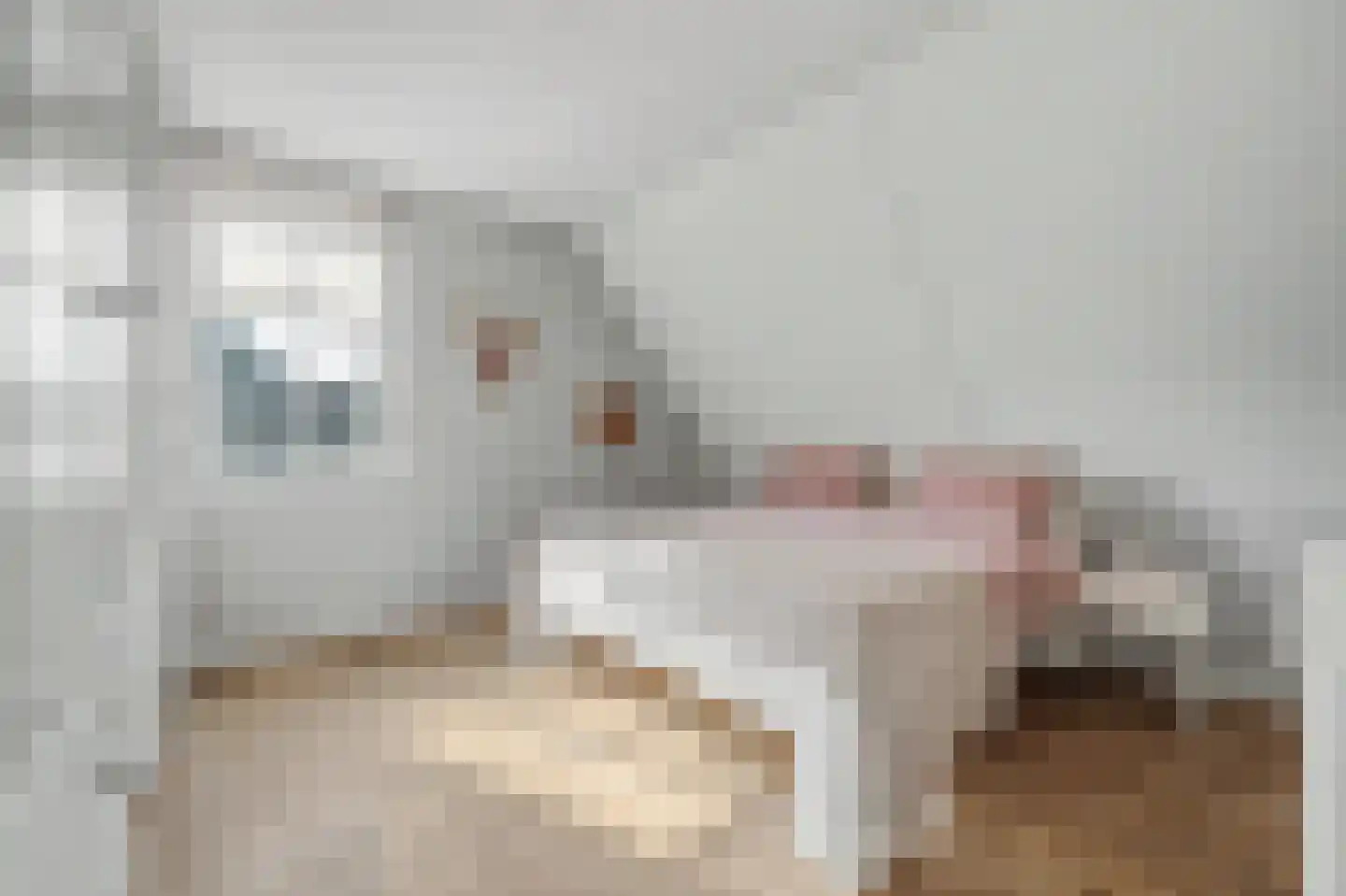 Contrabasweg 35 Goes thumbnail 20