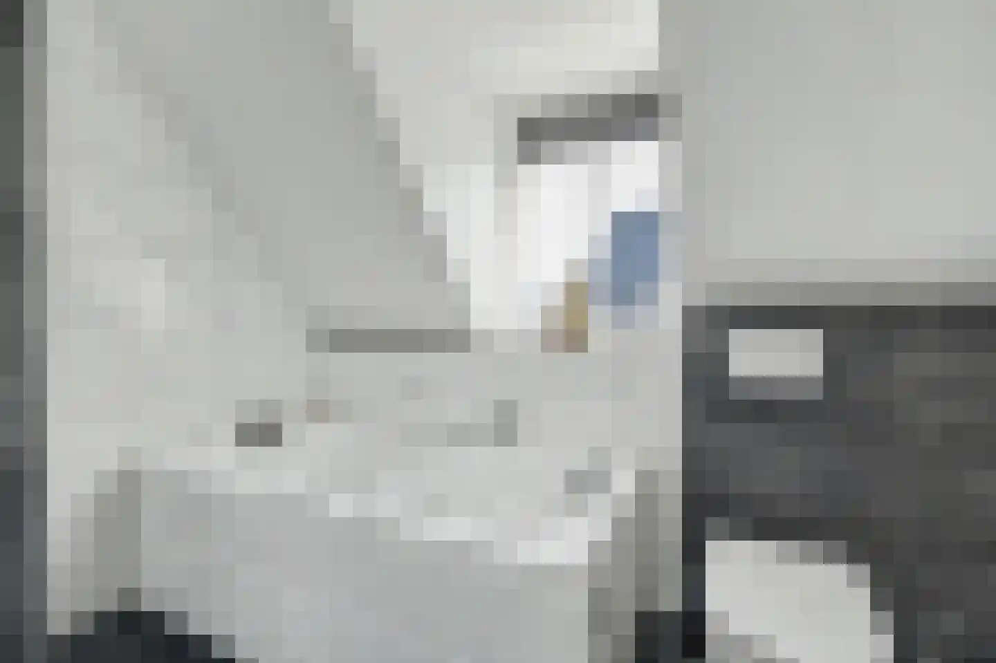Contrabasweg 35 Goes thumbnail 31