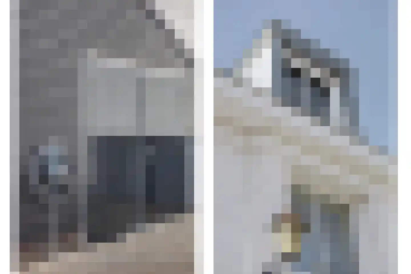 Contrabasweg 35 Goes thumbnail 44