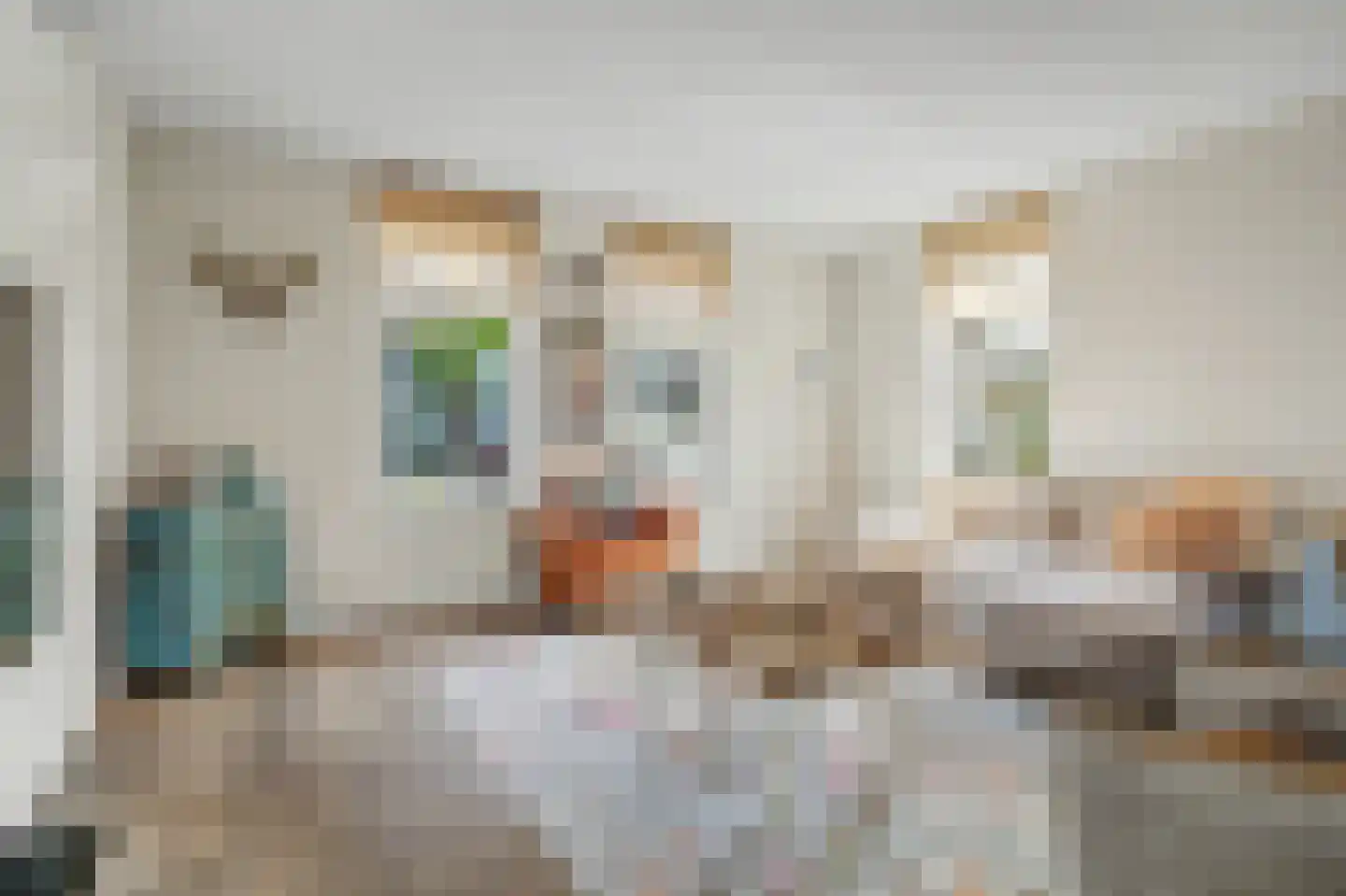 Contrabasweg 35 Goes thumbnail 8
