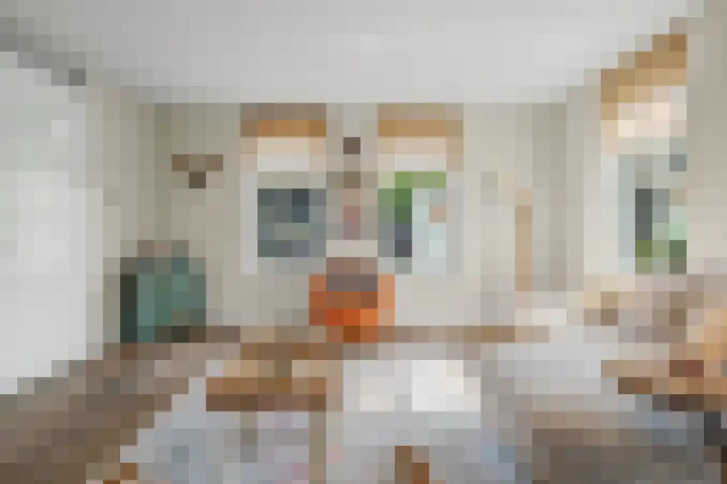 Contrabasweg 35 Goes thumbnail 9