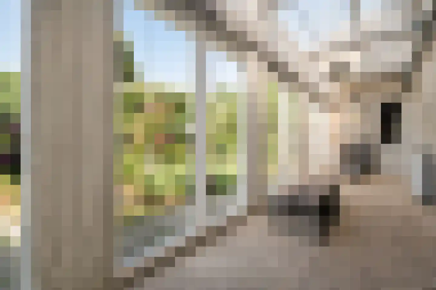 Contre Escarpe 3 Ravenstein thumbnail 19