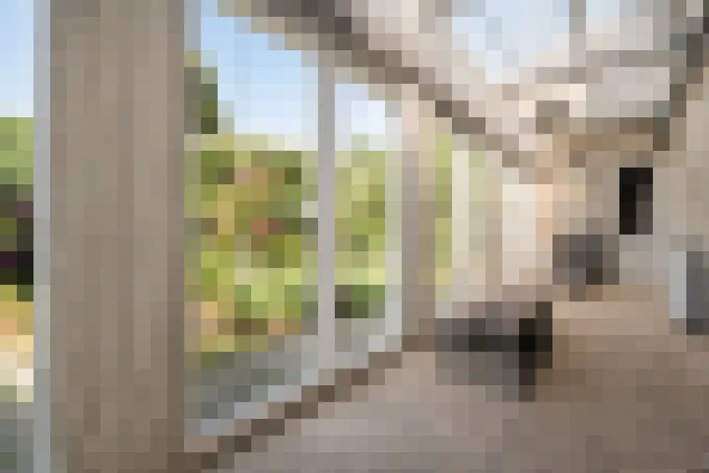 Contre Escarpe 3 Ravenstein thumbnail 21