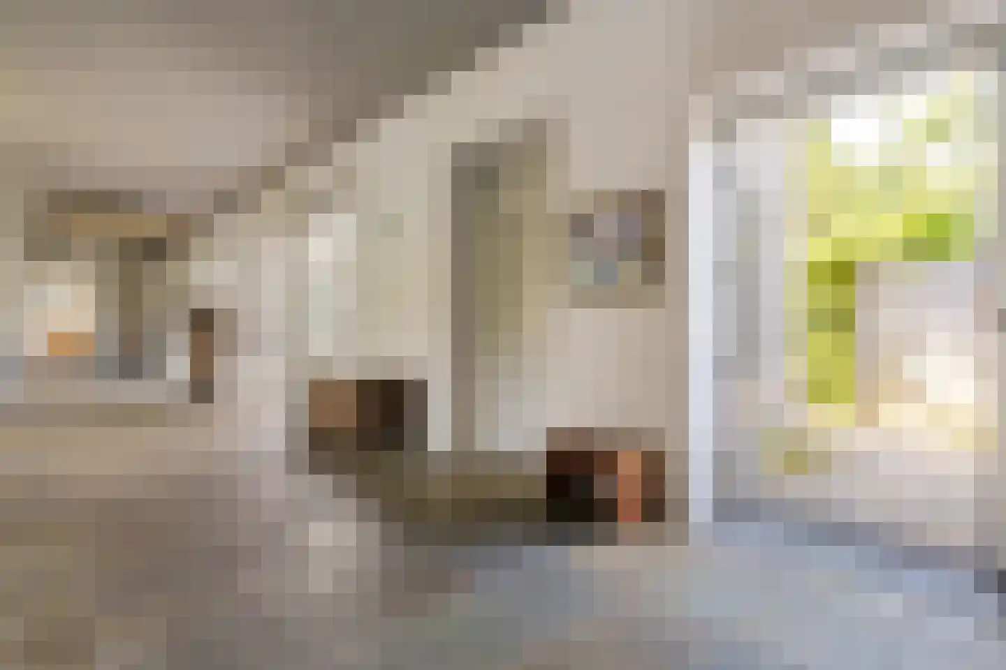 Contre Escarpe 3 Ravenstein thumbnail 25