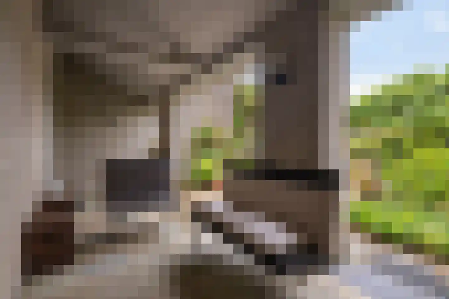 Contre Escarpe 3 Ravenstein thumbnail 39