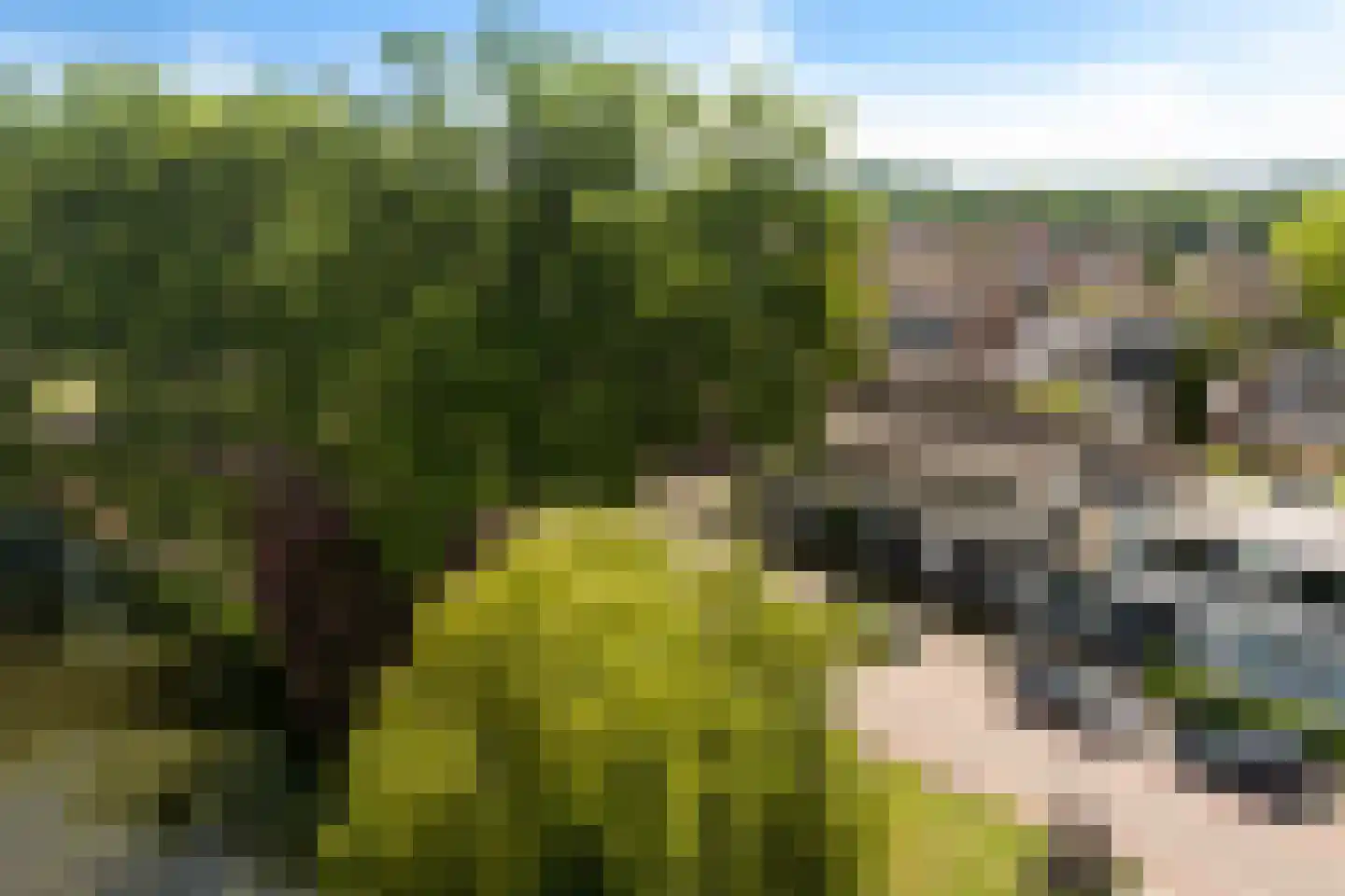 Contre Escarpe 3 Ravenstein thumbnail 44