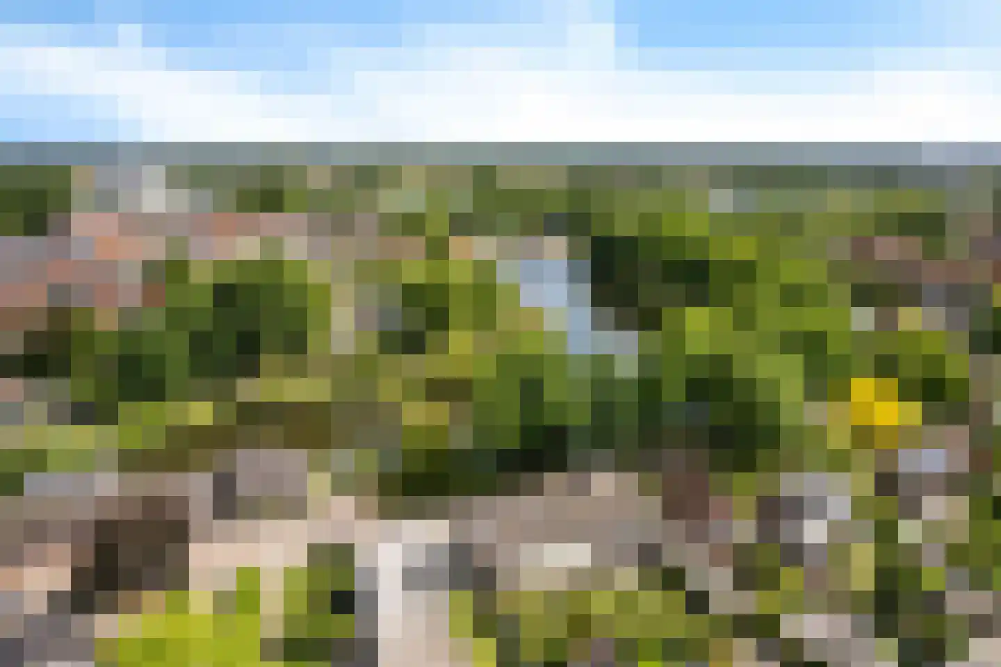 Contre Escarpe 3 Ravenstein thumbnail 47