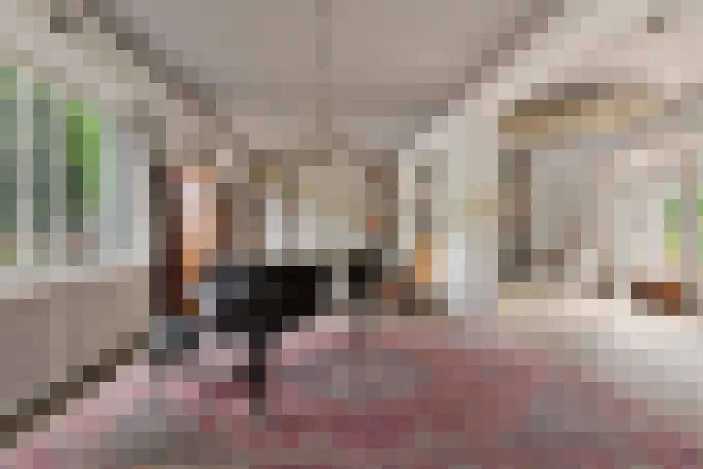Contre Escarpe 3 Ravenstein thumbnail 7