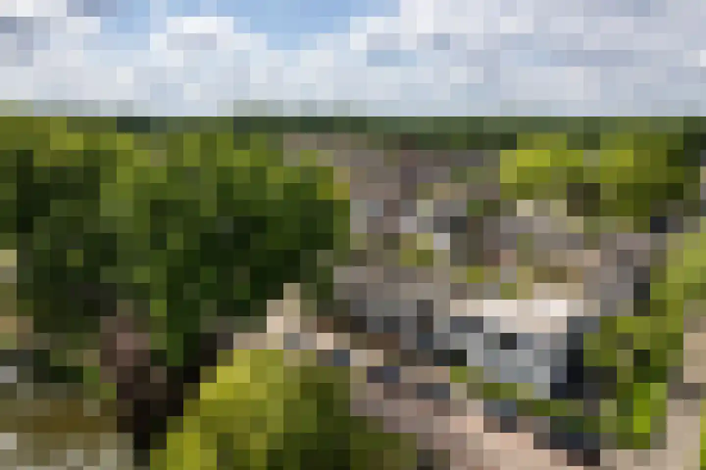 Contre Escarpe 3 Ravenstein thumbnail 7