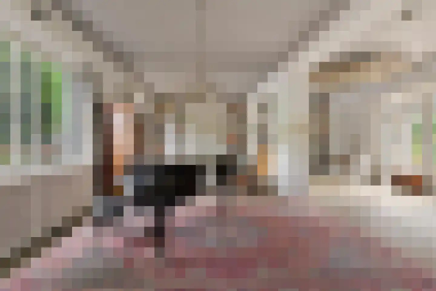 Contre Escarpe 3 Ravenstein thumbnail 8