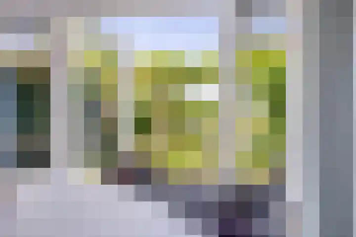 Contre Escarpe 8 Doesburg thumbnail 19