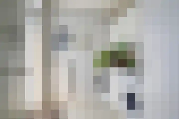 Contre Escarpe 8 Doesburg thumbnail 26
